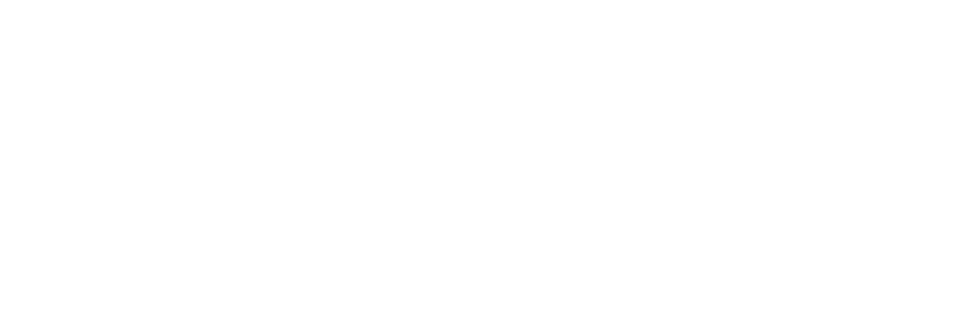 Mustard Seed IT